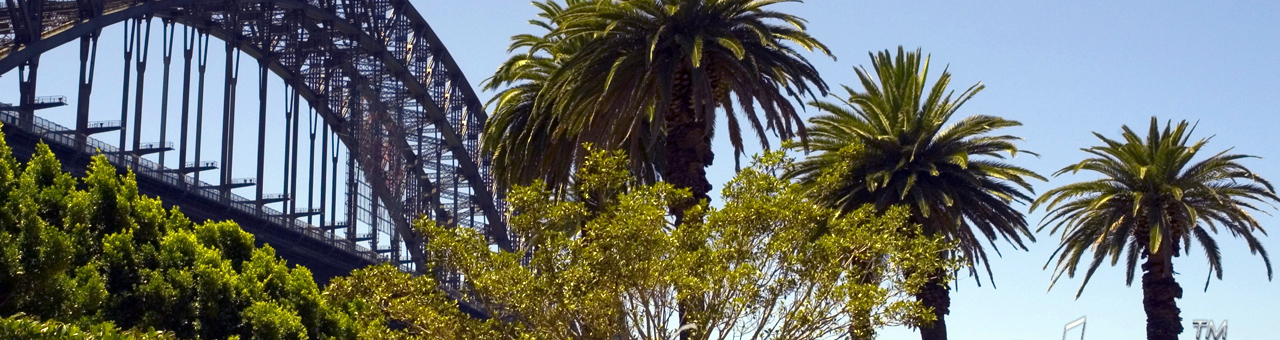 安全稳定可靠的网络ddos攻击软件